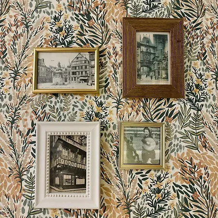 公寓 Le Marguerite & Le Melange Savant